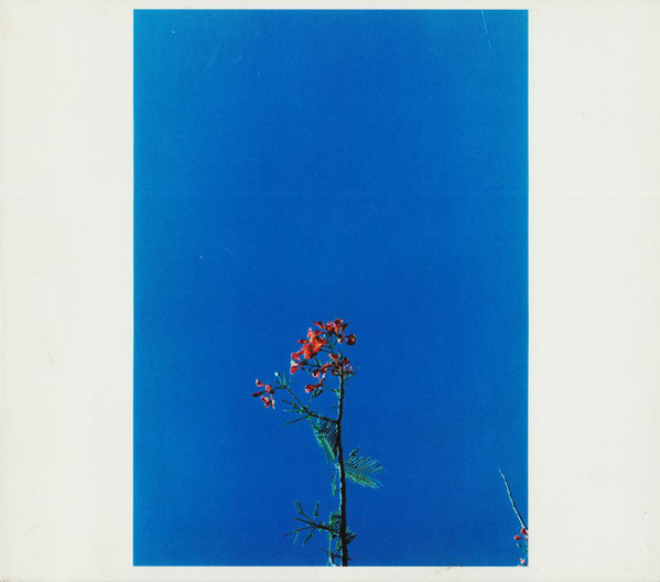 Joanna Newsom: Ys (2006)